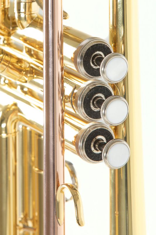 Roy Benson Bb-trompet TR-101